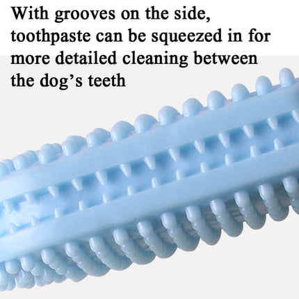 2 PCS TPR Dog Toy Molar Stick Bite-Resistant Cleaning Teeth Dog Chewing Interactive Anti-Boring Toy(Blue)-garmade.com