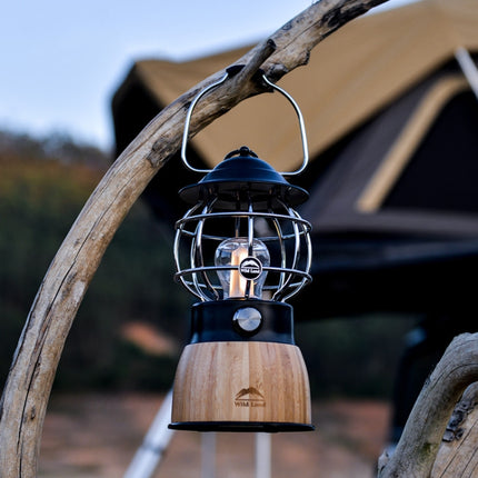 Wild Land Outdoor Camping Lighting Multifunctional LED Retro Portable Atmosphere Light(Black)-garmade.com