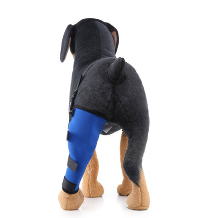 HJ19 Pet Surgery Rehabilitation Back Leg Protector Walking Aids, Size: M(Blue Left Back Leg)-garmade.com