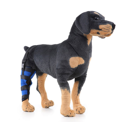 HJ19 Pet Surgery Rehabilitation Back Leg Protector Walking Aids, Size: M(Blue Right Back Leg)-garmade.com