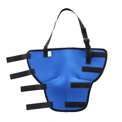 HJ19 Pet Surgery Rehabilitation Back Leg Protector Walking Aids, Size: L(Blue Right Back Leg)-garmade.com