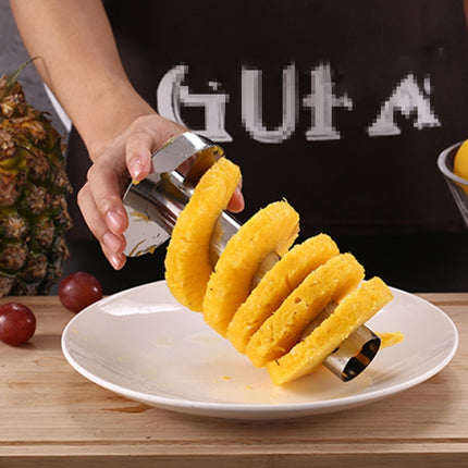 Stainless Steel Pineapple Peeler Slicers Fruit Cutter Kitchen Tools(Black handle)-garmade.com