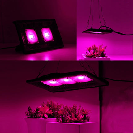150W Ultra-Thin LED Plant Light, Full Spectrum COB Growth Light, Vegetable, Fruit & Flower Greenhouse Fill Light With Plug, Specification:UK Plug-garmade.com