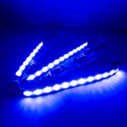 Outdoor Equestrian Equipment LED Light Chest Strap, Specification: Blue-garmade.com
