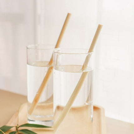 10 PCS Juice Coffee Pearl Milk Tea Natural Degradable Bamboo Straw, Style: 20cm Flat-garmade.com