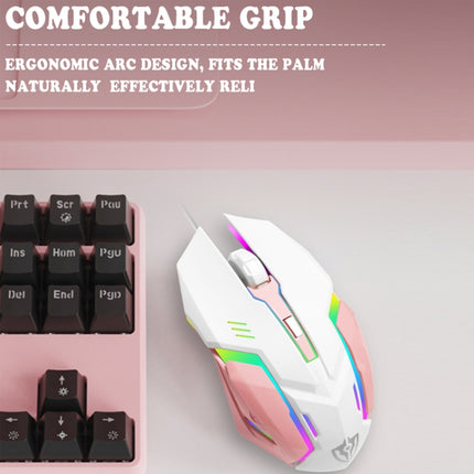 Shipadoo LD-122 4 in 1 Girly Glowing Keyboard + Mouse + Earphone + Mouse Pad Set(Pink Punk)-garmade.com