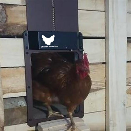 B177 Light-Sensitive Automatic Chicken Coop Door Hen House Pet Door-garmade.com
