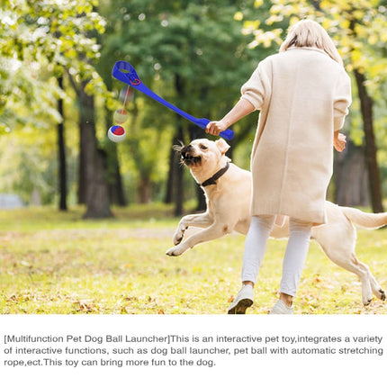 PQG-01 Dog Throw Ball Rod Outdoor Interactive Walk Dog Toys(Blue)-garmade.com