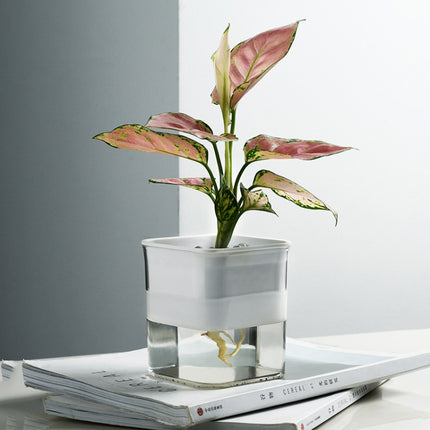 Hydroponic Transparent Visible Plastic Flower Pot, Size: 10x10x11.3cm(White)-garmade.com