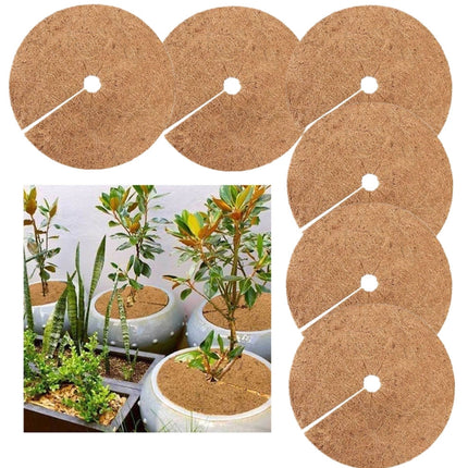 6 PCS/Set Plant Root Antifreeze Flowerpot Coconut Palm Flat Mat, Size: 20cm-garmade.com