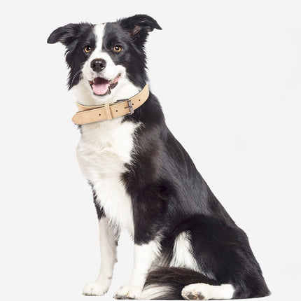 JINMAOHOU Dogs Double-Layer Leather Collar, Specification: S 39x2.2cm(Purple)-garmade.com