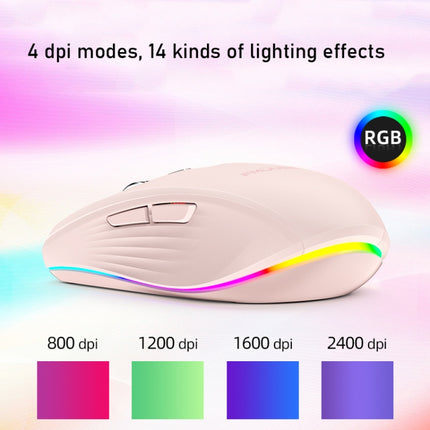 Fmouse M303 2400DPI Bluetooth&2.4G Dual Modes Rechargeable RGB Mouse(Gray)-garmade.com