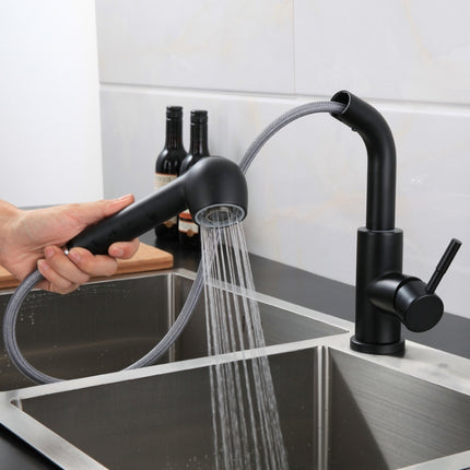 304 Stainless Steel Kitchen Sink Pull-out Faucet-garmade.com