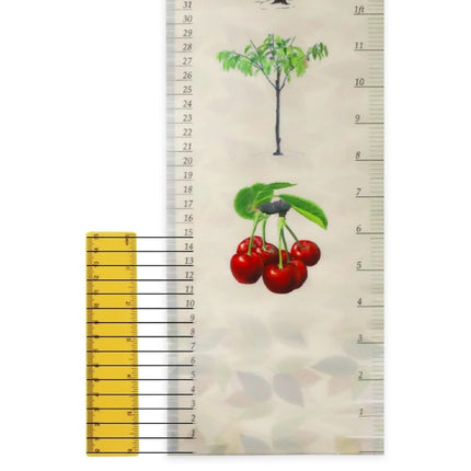 Removable Wall-mounted Height Ruler With Botanical Print Decoration-garmade.com