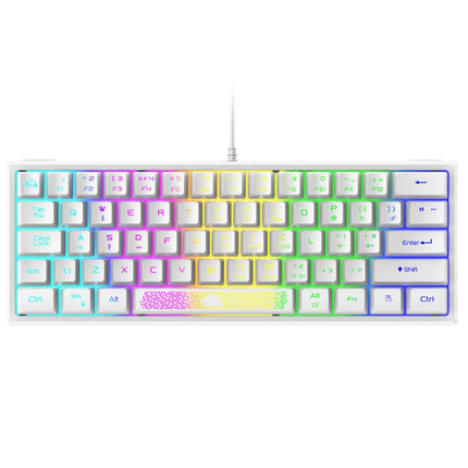 ZIYOU LANG K61 62 Keys RGB Lighting Mini Gaming Wired Keyboard, Cable Length:1.5m(White)-garmade.com