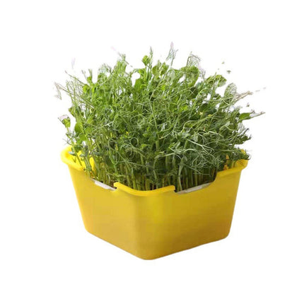 3 PCS Bean Sprout Germination Pot Soilless Culture Hydroponic Vegetable Seedling Tray(Yellow)-garmade.com