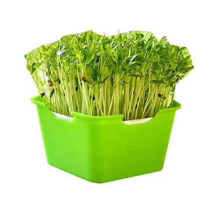 3 PCS Bean Sprout Germination Pot Soilless Culture Hydroponic Vegetable Seedling Tray(Green)-garmade.com