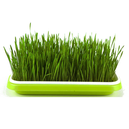 5 PCS Bean Sprout Germination Tray Soilless Culture Seedling Pot(Green)-garmade.com