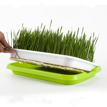 5 PCS Bean Sprout Germination Tray Soilless Culture Seedling Pot(Green)-garmade.com