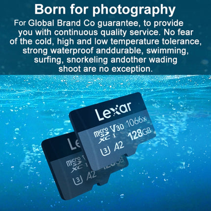 Lexar LKSTF1066X High-Speed TF Card Motion Camera Surveillance Recorder Memory Card, Capacity: 64GB-garmade.com