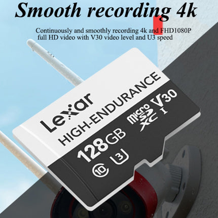 Lexar LSDM10 Security Surveillance Camera Dash Cam Memory Card, Capacity: 32GB-garmade.com