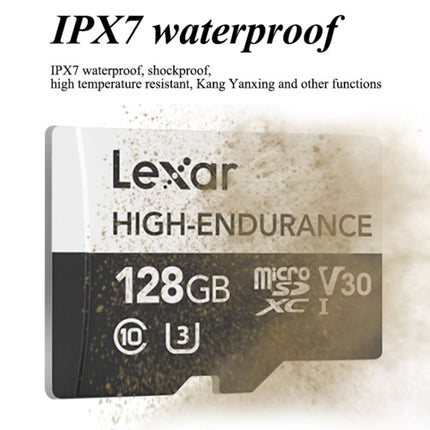 Lexar LSDM10 Security Surveillance Camera Dash Cam Memory Card, Capacity: 128GB-garmade.com