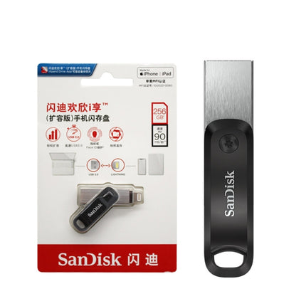 SanDisk High-Speed USB3.0 Computer USB Flash Drive, Capacity: 256GB-garmade.com