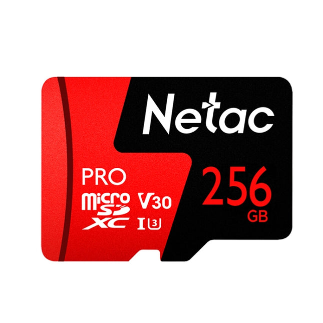 Netac Driving Recorder Surveillance Camera Mobile Phone Memory Card, Capacity: 256GB-garmade.com