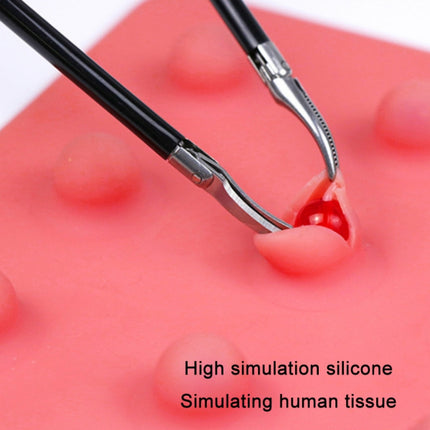 Silicone Simulation Human Abdominal Cavity Module Organization Medical Practice Teaching Aids-garmade.com