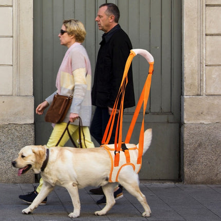 Pet Leash Assistive Belt For Postoperative Disabled Elderly Dogs Hind Legs L-garmade.com