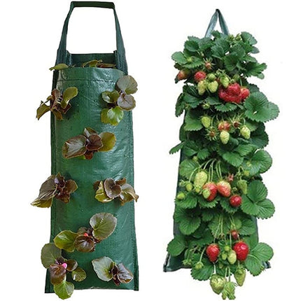 Multi-Port Grow Bags For Plant Strawberry Potato Hanging Planting Pots, Size: 4 Port-garmade.com