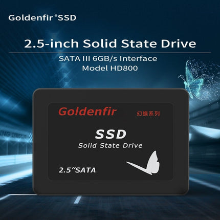 Goldenfir T650 Computer Solid State Drive, Flash Architecture: TLC, Capacity: 32GB-garmade.com