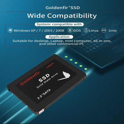 Goldenfir T650 Computer Solid State Drive, Flash Architecture: TLC, Capacity: 128GB-garmade.com