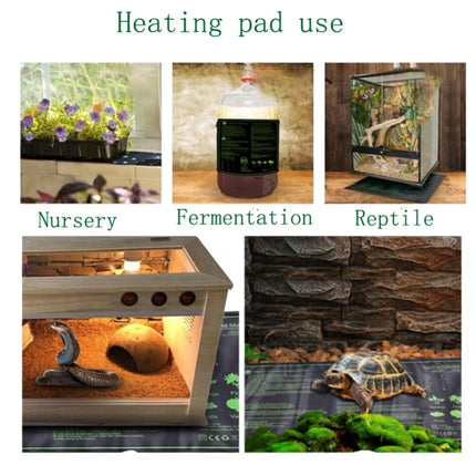 20 x 10 inch Digital Display Seedling Heating Pad With Timed Temperature Adjustment(EU Plug 230V)-garmade.com