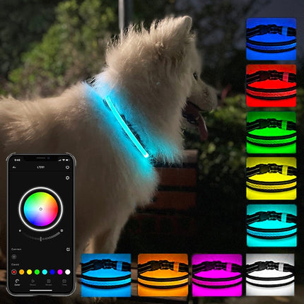 LED Rechargeable Wear-resistant and Waterproof Pet Lighting Collar, Size: M(Black)-garmade.com