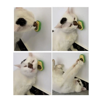 2 PCS Catnip Balls And Avocado Teasing Cat Teeth Cleaning Toy(Mint Ball)-garmade.com