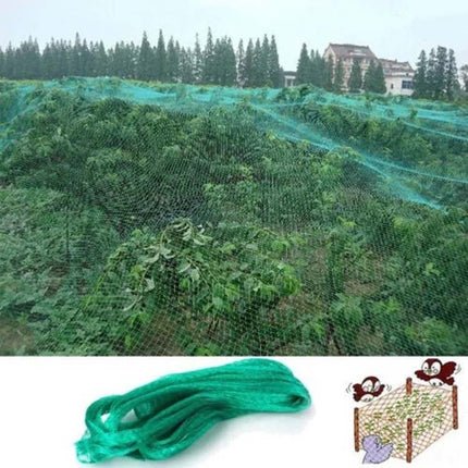 2Mx10M Anti Bird Protection Net Mesh Garden Plant Netting Protect Plants and Fruit-garmade.com