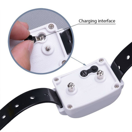 KD-661 500m Wireless Electric Dog Pet Fence Shock Collar,Spec: For One Dog(US Plug)-garmade.com