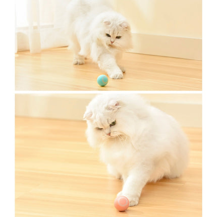 0001 Smart Gravity Teaser Cat Rolling Ball Teeth Resistant Cat Toys(Blue)-garmade.com