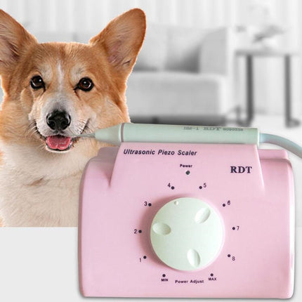 Ultrasonic Dental Washing Machine for Pet Dog Teeth Stone Remover, Plug Specifications:CN Plug(Pink)-garmade.com