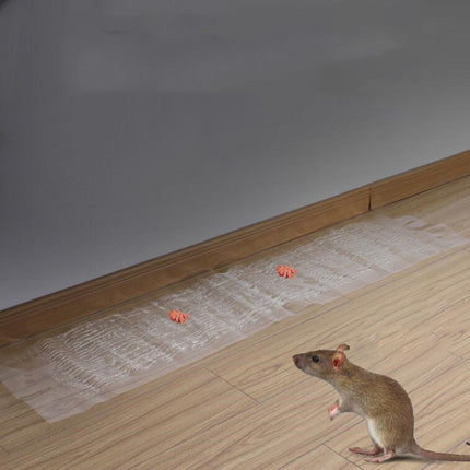 Anti-rodent Strong Sticky Board Transparent Sticky Mouse with Mousetrap Glue-garmade.com
