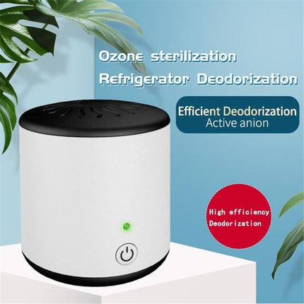 ZC-168 Refrigerator Car Active Oxygen Ozone Disinfection Sterilization Deodorization Purification Mini Air Purifier-garmade.com