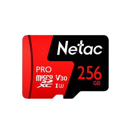 Netac P500 PRO 256GB U3 Speed Level Automobile Data Recorder Monitor Camera Memory Card TF Card-garmade.com